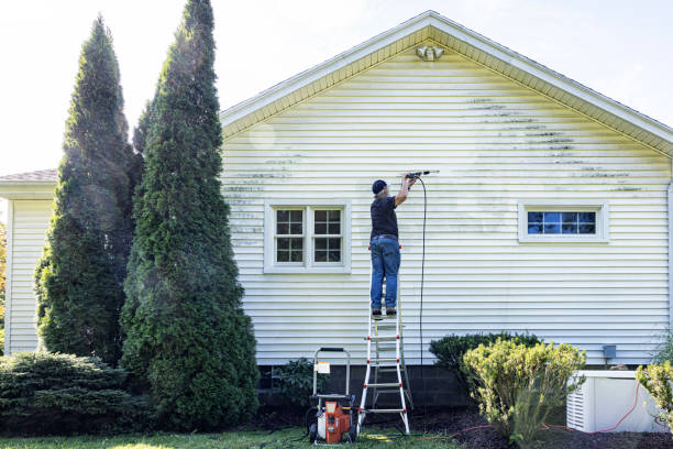 Best Fence Cleaning and Maintenance in Buhl, MN